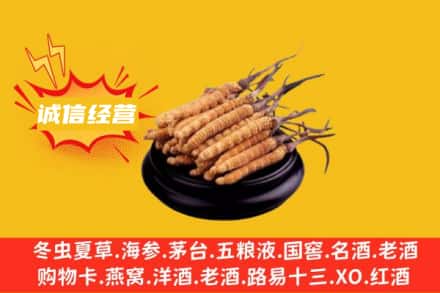 重庆巫溪县回收冬虫夏草